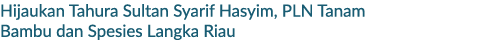 Hijaukan Tahura Sultan Syarif Hasyim, PLN Tanam Bambu dan Spesies Langka Riau