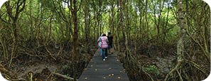 A group of people are walking on a wooden bridge in a forest. AI generated content