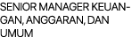 SENIOR MANAGER KEUANGAN, ANGGARAN, DAN UMUM