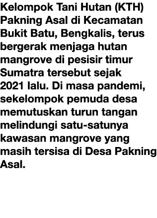 Kelompok Tani Hutan (KTH) Pakning Asal di Kecamatan Bukit Batu, Bengkalis, terus bergerak menjaga hutan mangrove di p...