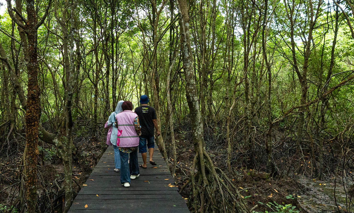 A group of people are walking on a bridge over a swampy area. AI generated content