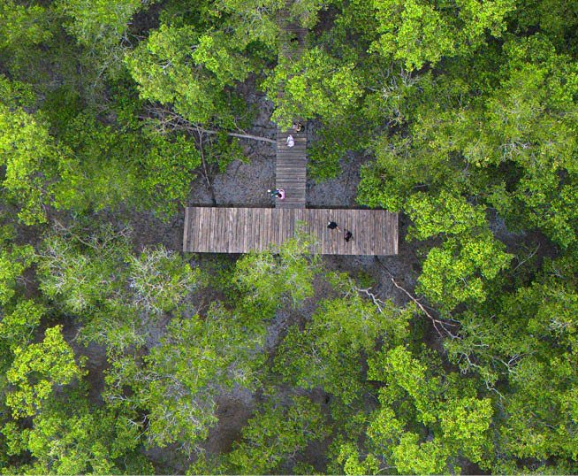 A wooden platform is surrounded by trees in a forest. AI generated content