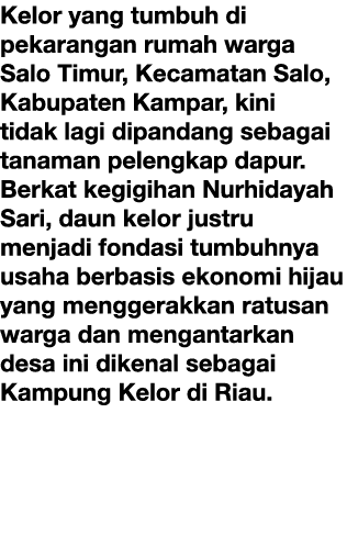 Kelor yang tumbuh di pekarangan rumah warga Salo Timur, Kecamatan Salo, Kabupaten Kampar, kini tidak lagi dipandang s...