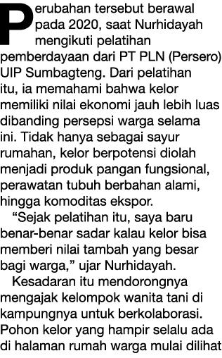 Perubahan tersebut berawal pada 2020, saat Nurhidayah mengikuti pelatihan pemberdayaan dari PT PLN (Persero) UIP Sumb...