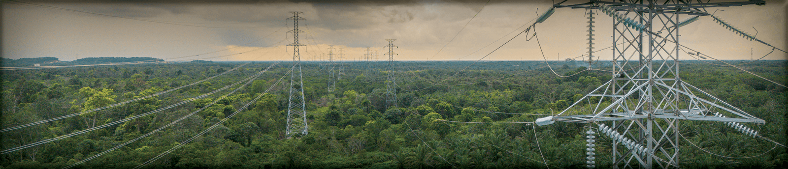 [Alt text was not generated.]