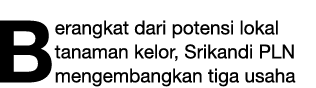 Berangkat dari potensi lokal tanaman kelor, Srikandi PLN mengembangkan tiga usaha 