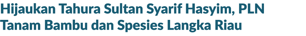 Hijaukan Tahura Sultan Syarif Hasyim, PLN Tanam Bambu dan Spesies Langka Riau