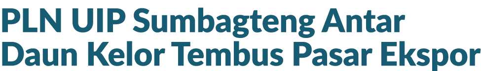 PLN UIP Sumbagteng Antar Daun Kelor Tembus Pasar Ekspor