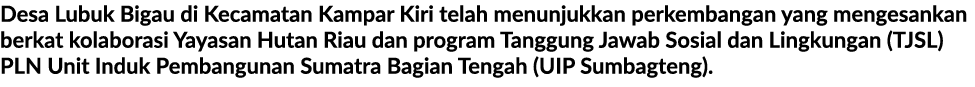 Desa Lubuk Bigau di Kecamatan Kampar Kiri telah menunjukkan perkembangan yang mengesankan berkat kolaborasi Yayasan H...